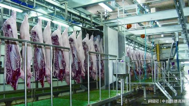 生猪屠宰加工厂与配套果蔬加工设备项目可行性研究